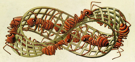 Escher moebius